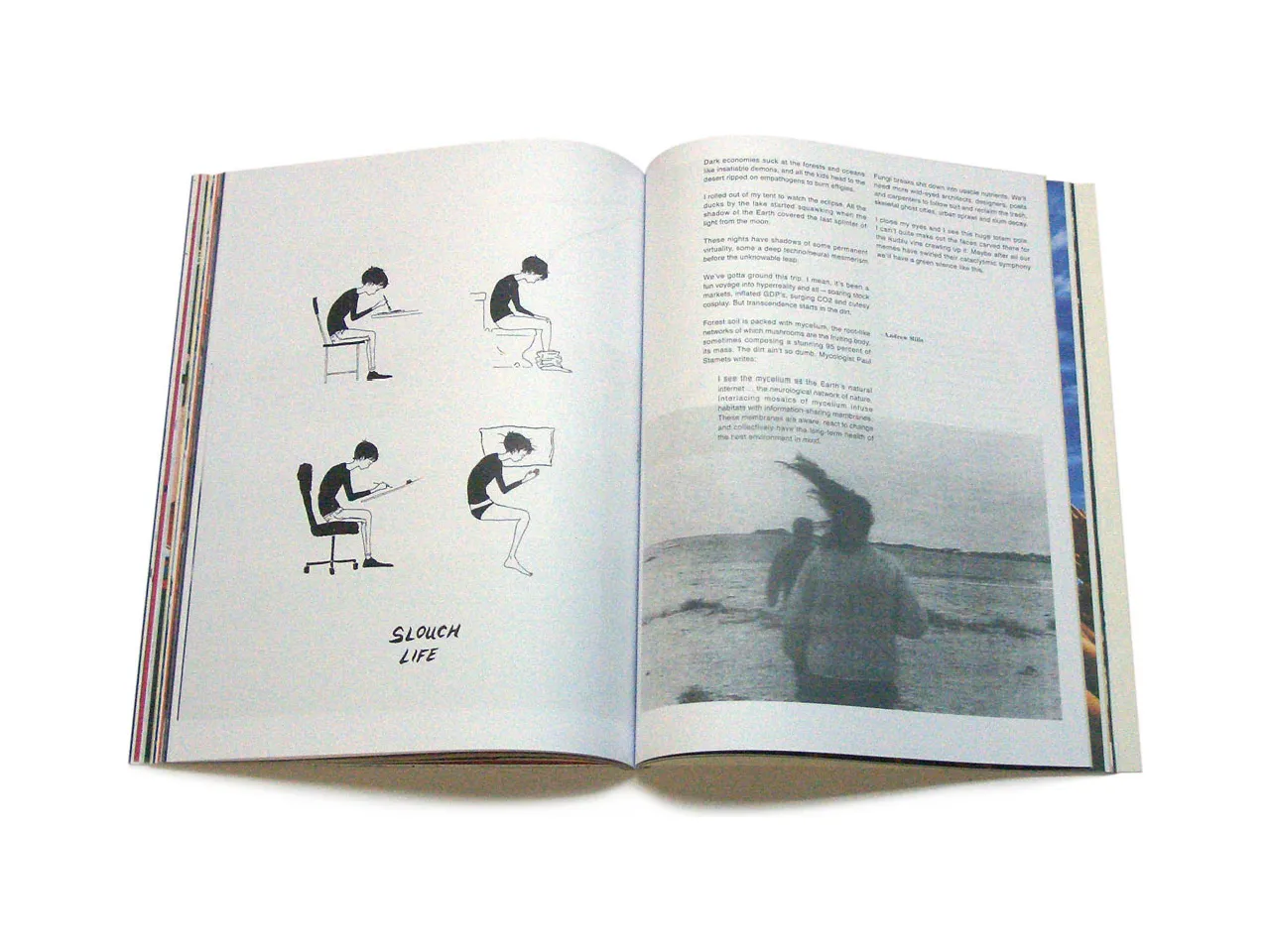 Adbusters #117: Blueprint for a New World Part VI (Aesthetico) - Image 13