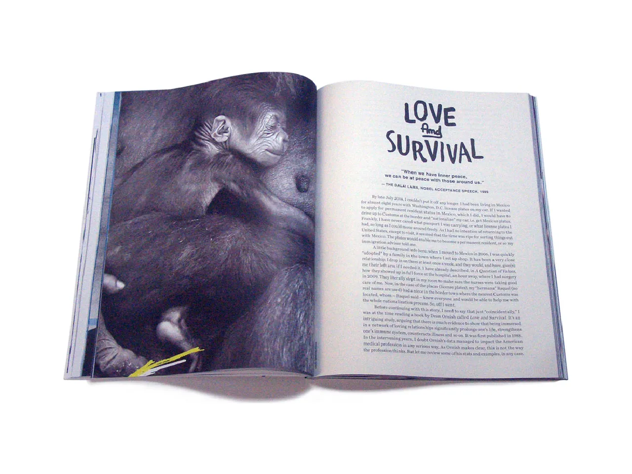 《廣告剋星》#118:世界革命宣言:圖片 3