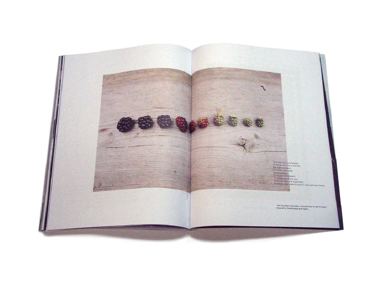 《廣告剋星》#118:世界革命宣言:圖片 12