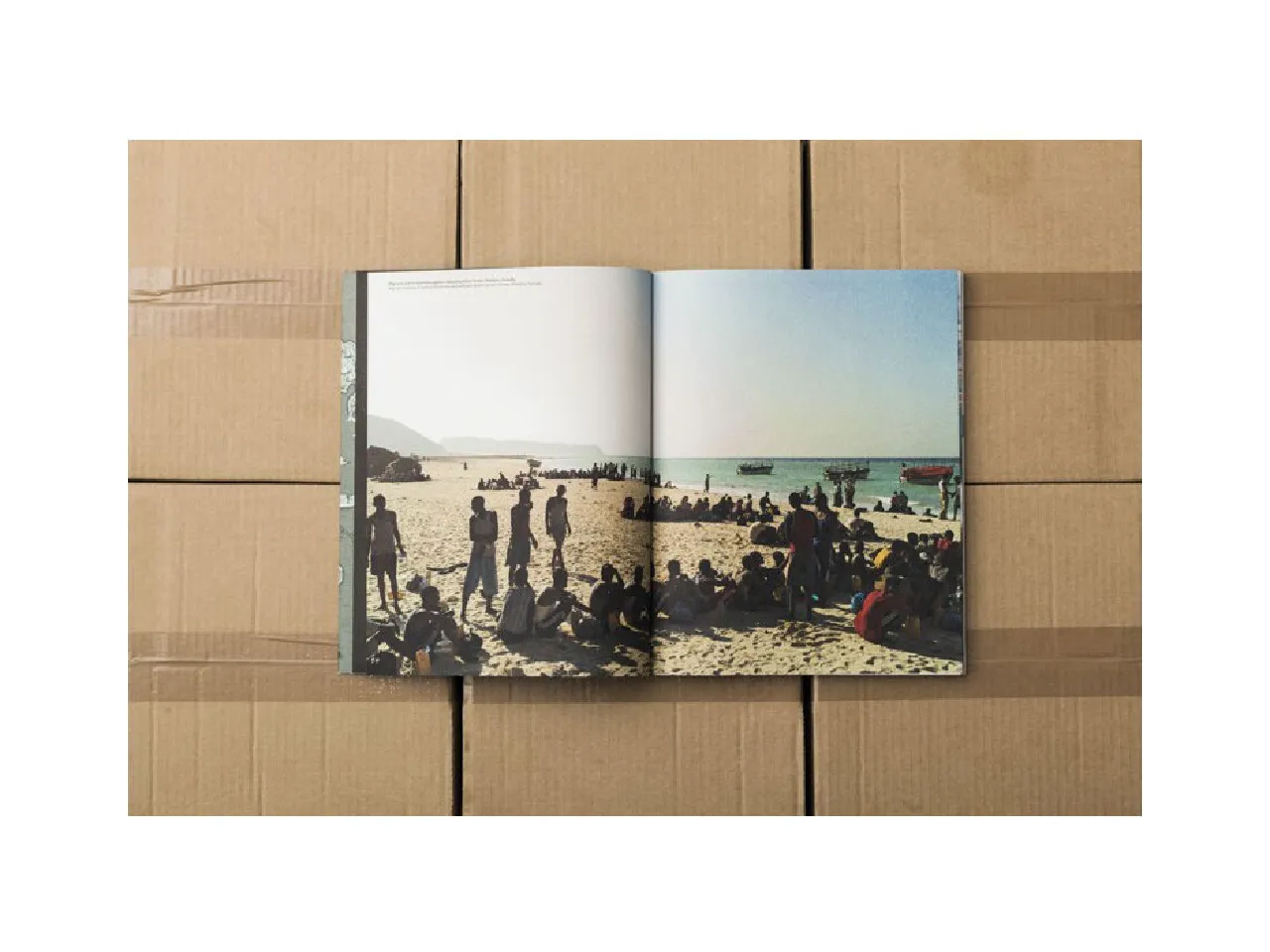 COLORS 89:移居:圖片 6