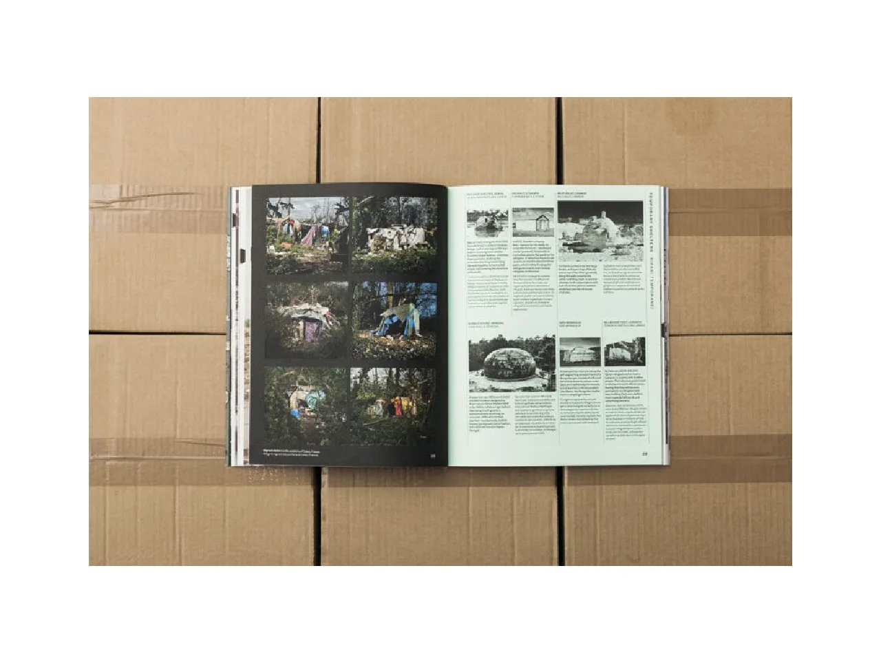 COLORS 89:移居:圖片 8