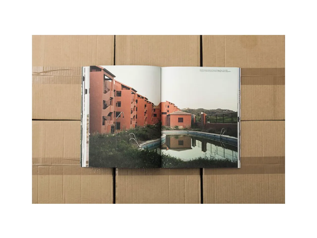 COLORS 89:移居:圖片 10