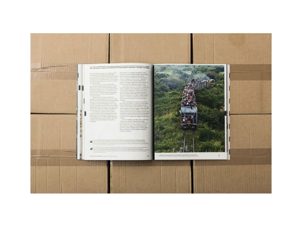 COLORS 89:移居:圖片 11