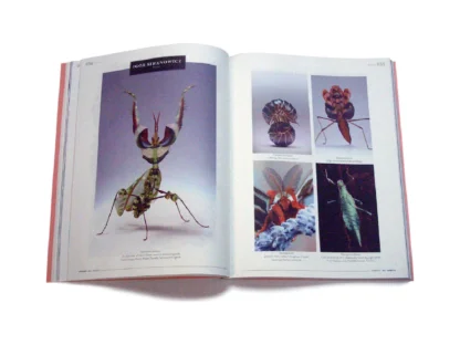 CERCLE #03: Insects - Image 17