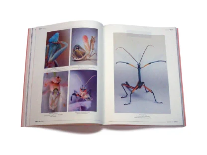 CERCLE #03: Insects - Image 18