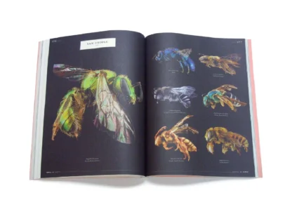 CERCLE #03: Insects - Image 20